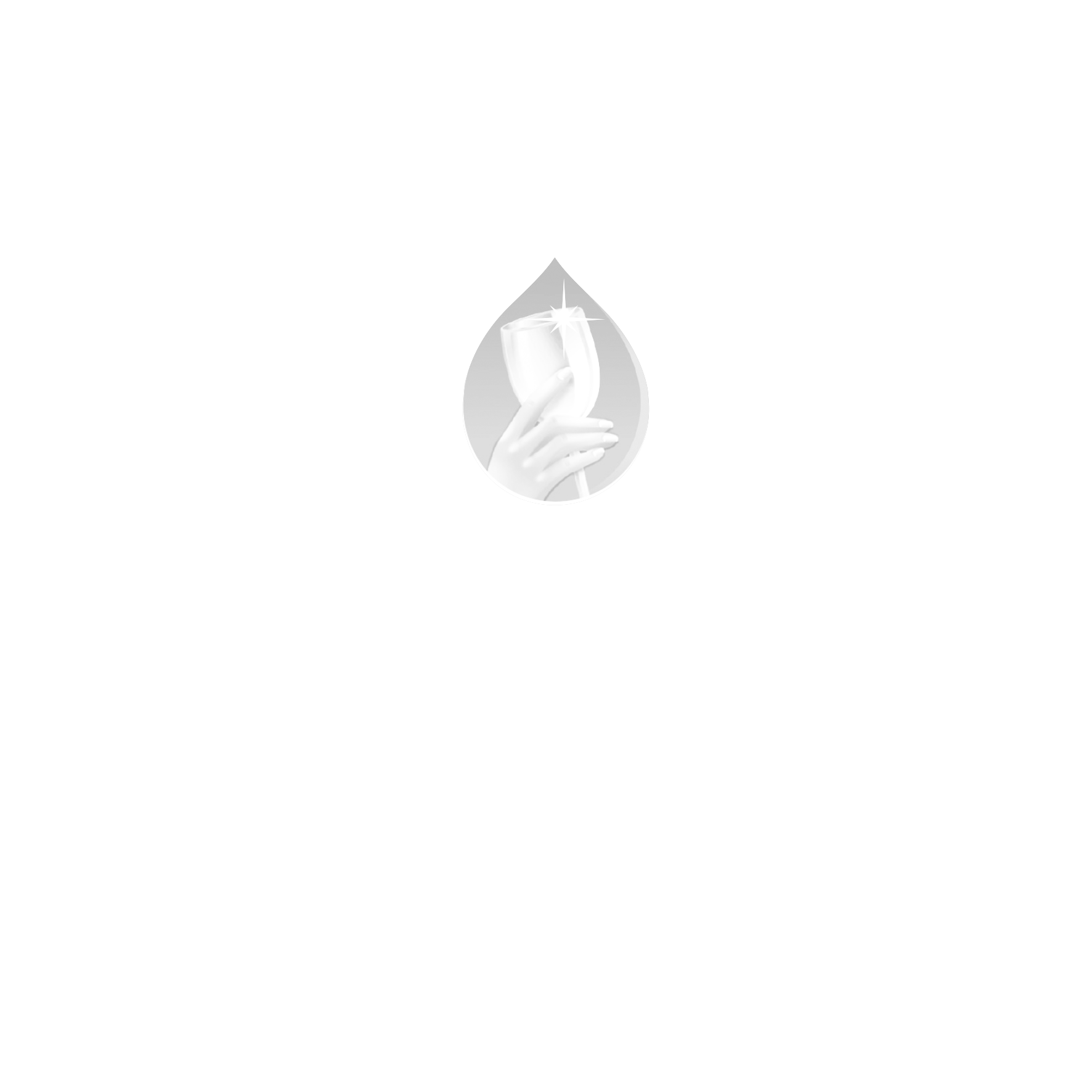 פלמוליב כלים