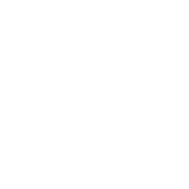 ליידי ספיד סטיק